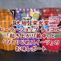 【大垣】栄光堂 トレーラーショップ「チョコル」で購入した「起き上がり最中」と「ひとりじめスイーツ」のお味レポート