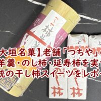 【大垣名菓】老舗「つちや」の柿羊羹・のし柿・延寿柿を実食！伝統の干し柿スイーツをレポート