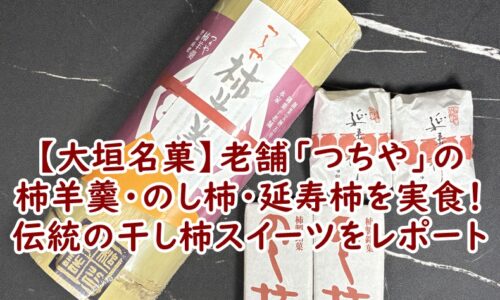 【大垣名菓】老舗「つちや」の柿羊羹・のし柿・延寿柿を実食！伝統の干し柿スイーツをレポート