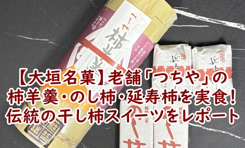 【大垣名菓】老舗「つちや」の柿羊羹・のし柿・延寿柿を実食！伝統の干し柿スイーツをレポート