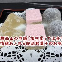 飛騨高山の老舗「畑中堂」