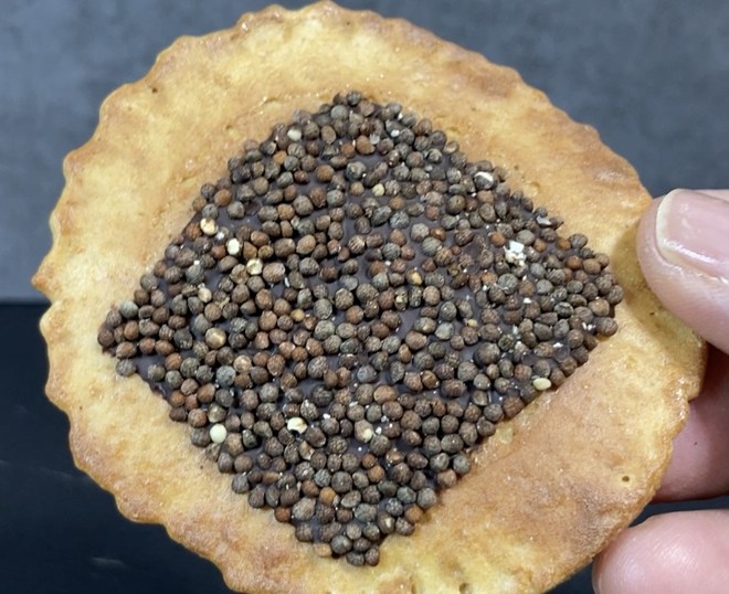井之廣製菓舗 ちょこっとえごま入り味噌煎餅